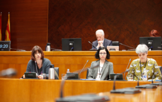 La Asociación de afectadas de endometriosis de Zaragoza en las Cortes de Aragón